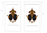 do a design in adobe illustrator